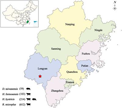 Genomic characterization and phylogenetic analysis of a novel Nairobi sheep disease genogroup Orthonairovirus from ticks, Southeastern China